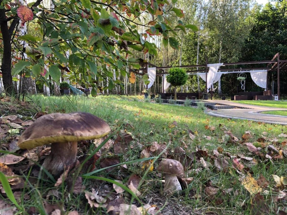 Gosciniec Pod Lasem Grabowce Dolne Buitenkant foto